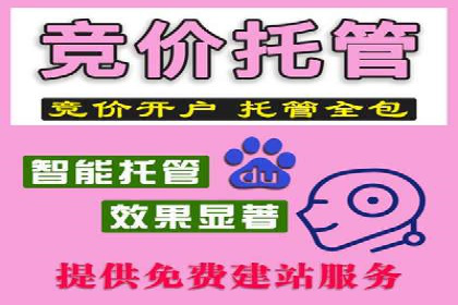 竞价广告赚钱攻略：百度平台实战案例